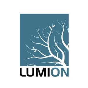 Lumion?